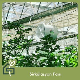 Sirkülasyon Fanı