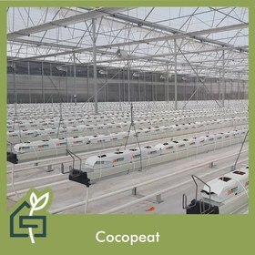 cocopeat