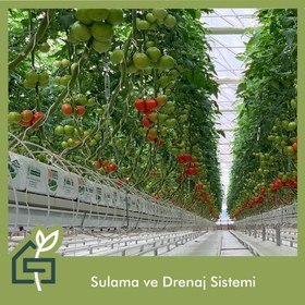 sera sulama sistemi