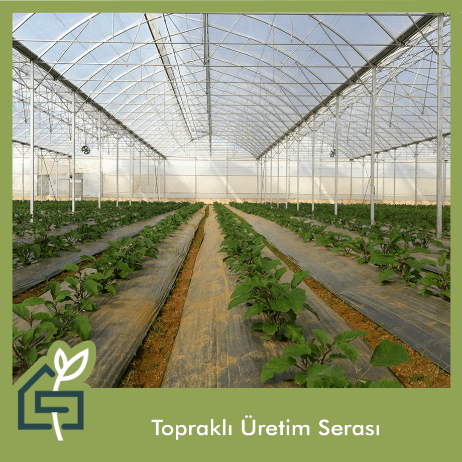topraklı üretim